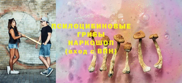 гидропоника Балабаново
