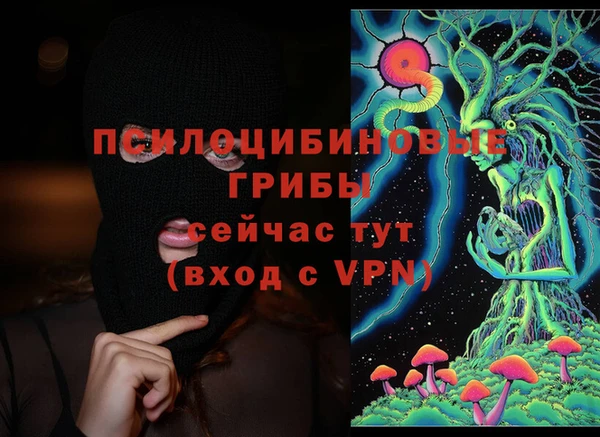 гидропоника Балабаново