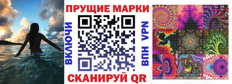 ссылка на мегу как зайти Курчалой darknet как зайти закладки Марки NBOMe 1,8мг